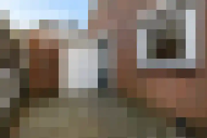 Postleane 1 Ureterp thumbnail 29