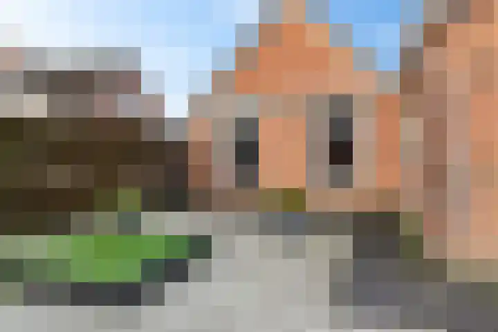 Postleane 1 Ureterp thumbnail 36