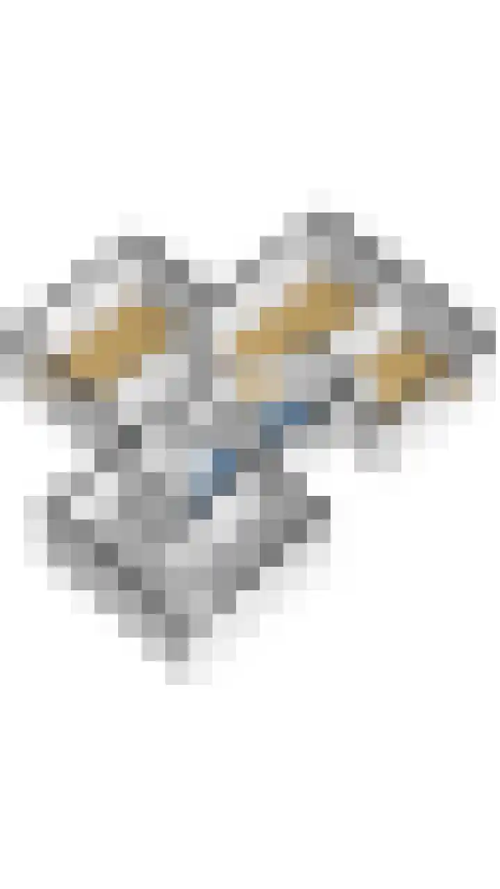 Postleane 1 Ureterp thumbnail 4