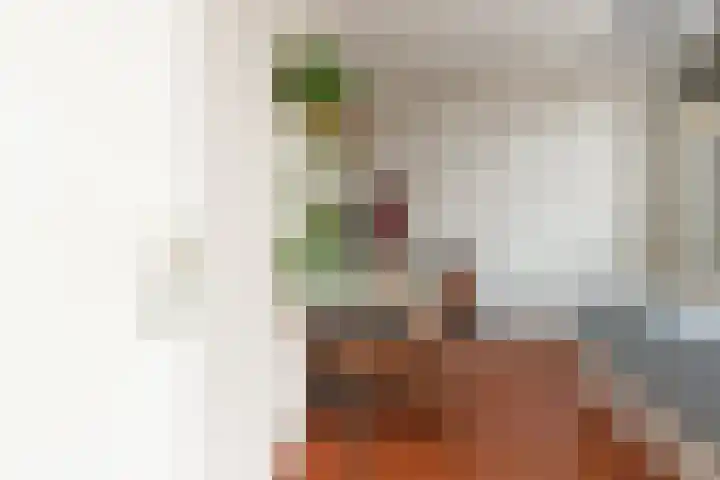 Postloperlaan 3 Hooglanderveen thumbnail 17