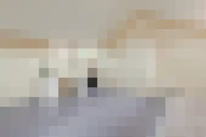 Postloperlaan 3 Hooglanderveen thumbnail 27