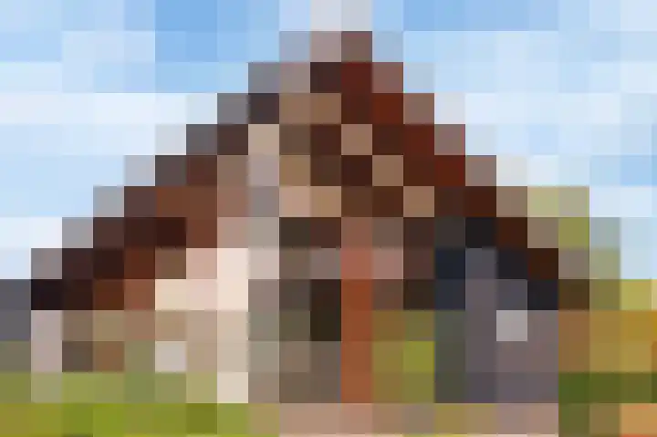 Postloperlaan 3 Hooglanderveen thumbnail 34