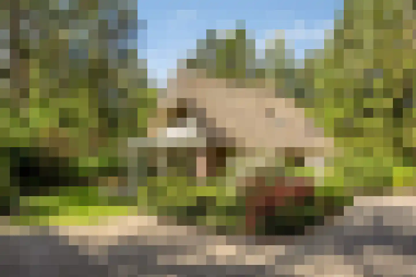 Postmaatseweg 15 Norg
