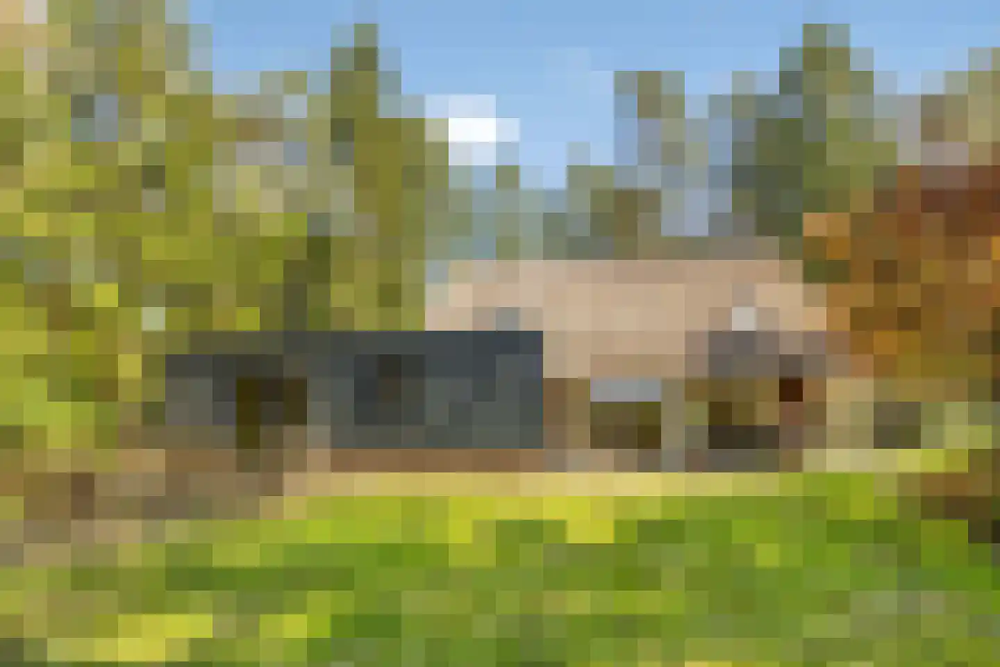 Postmaatseweg 15 Norg foto 2