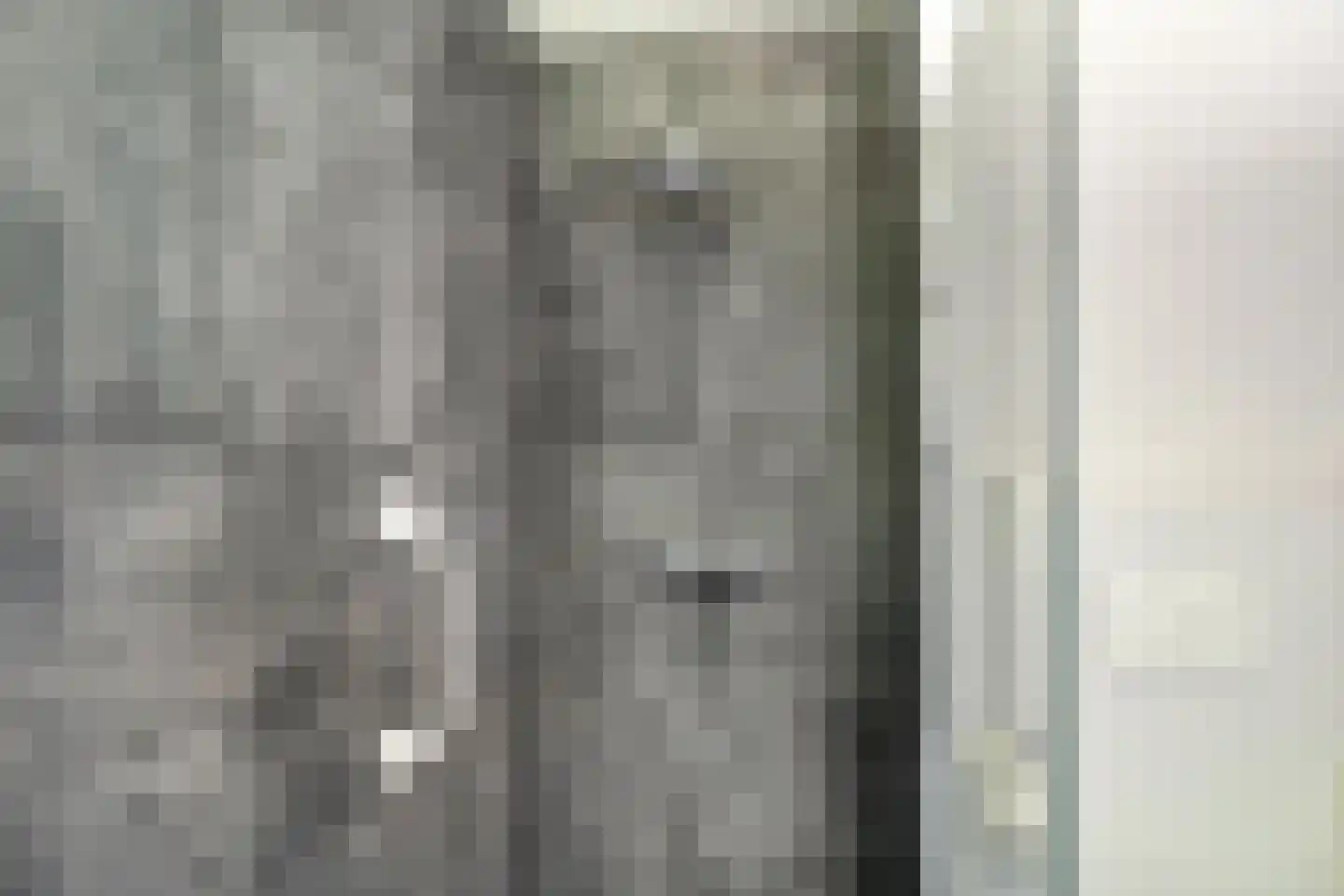 Postmaatseweg 15 Norg thumbnail 36