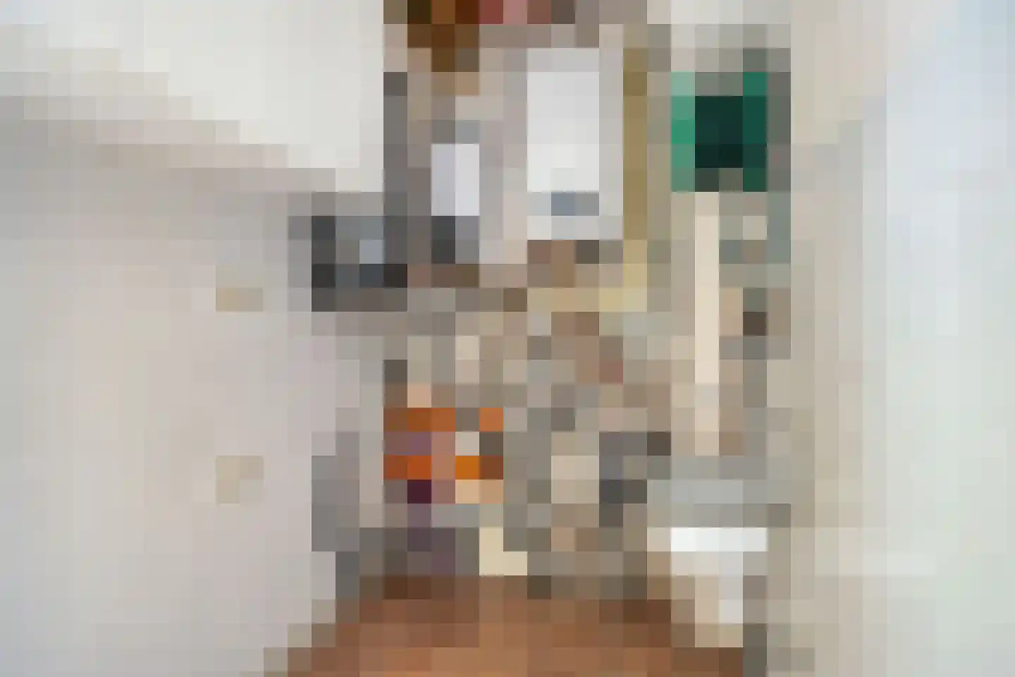 Postmaatseweg 15 Norg thumbnail 40