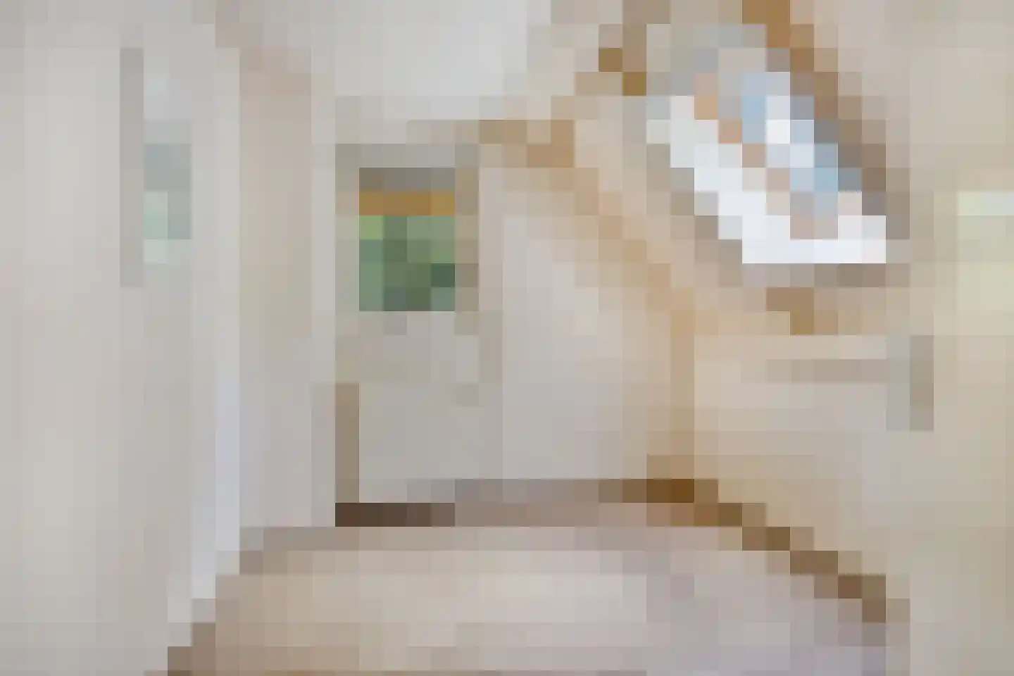 Postmaatseweg 15 Norg thumbnail 43
