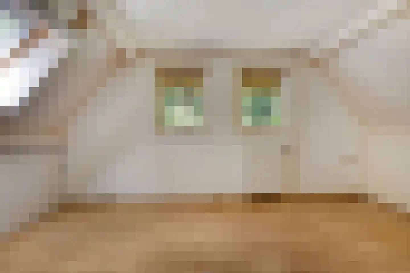 Postmaatseweg 15 Norg thumbnail 45
