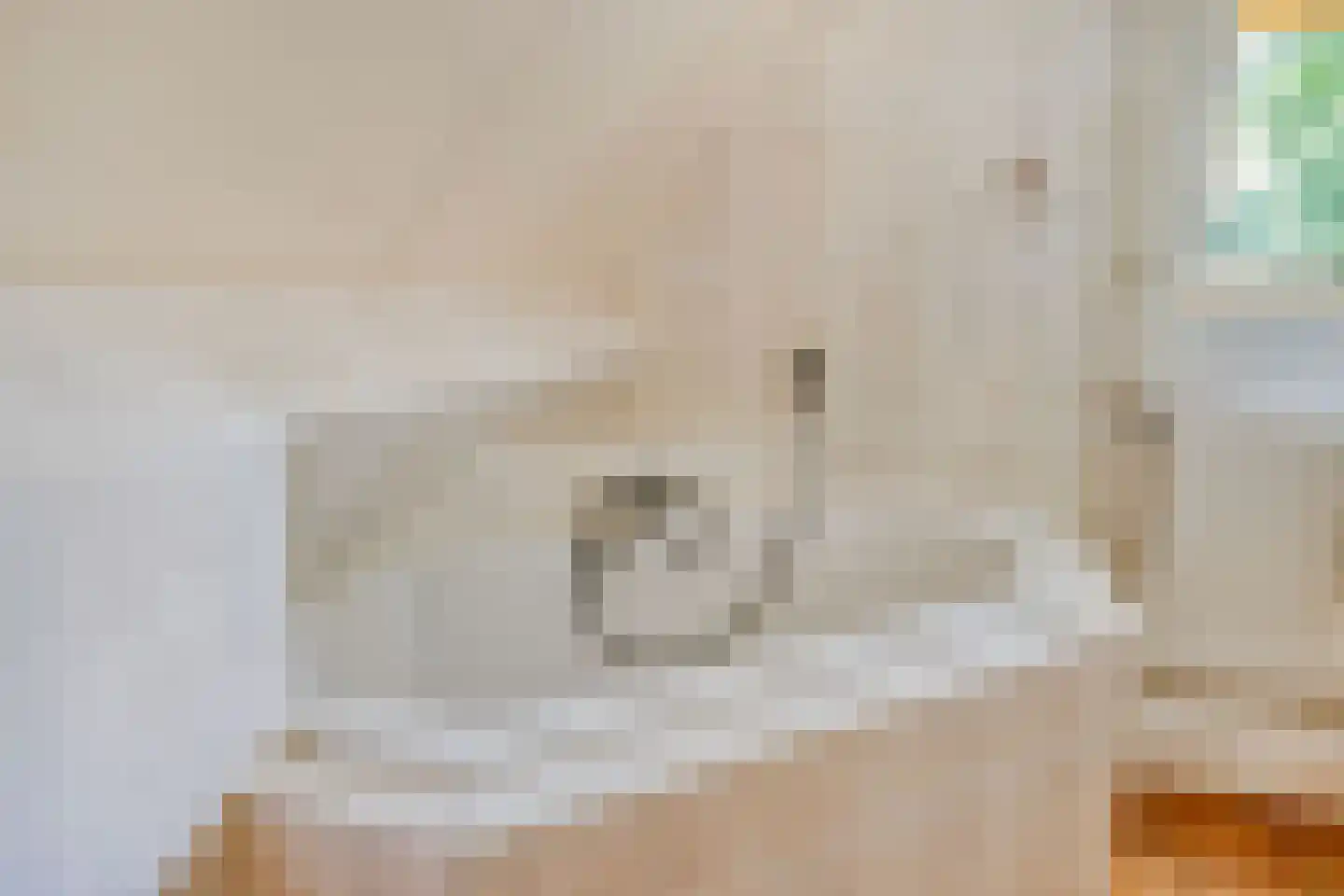 Postmaatseweg 15 Norg thumbnail 49