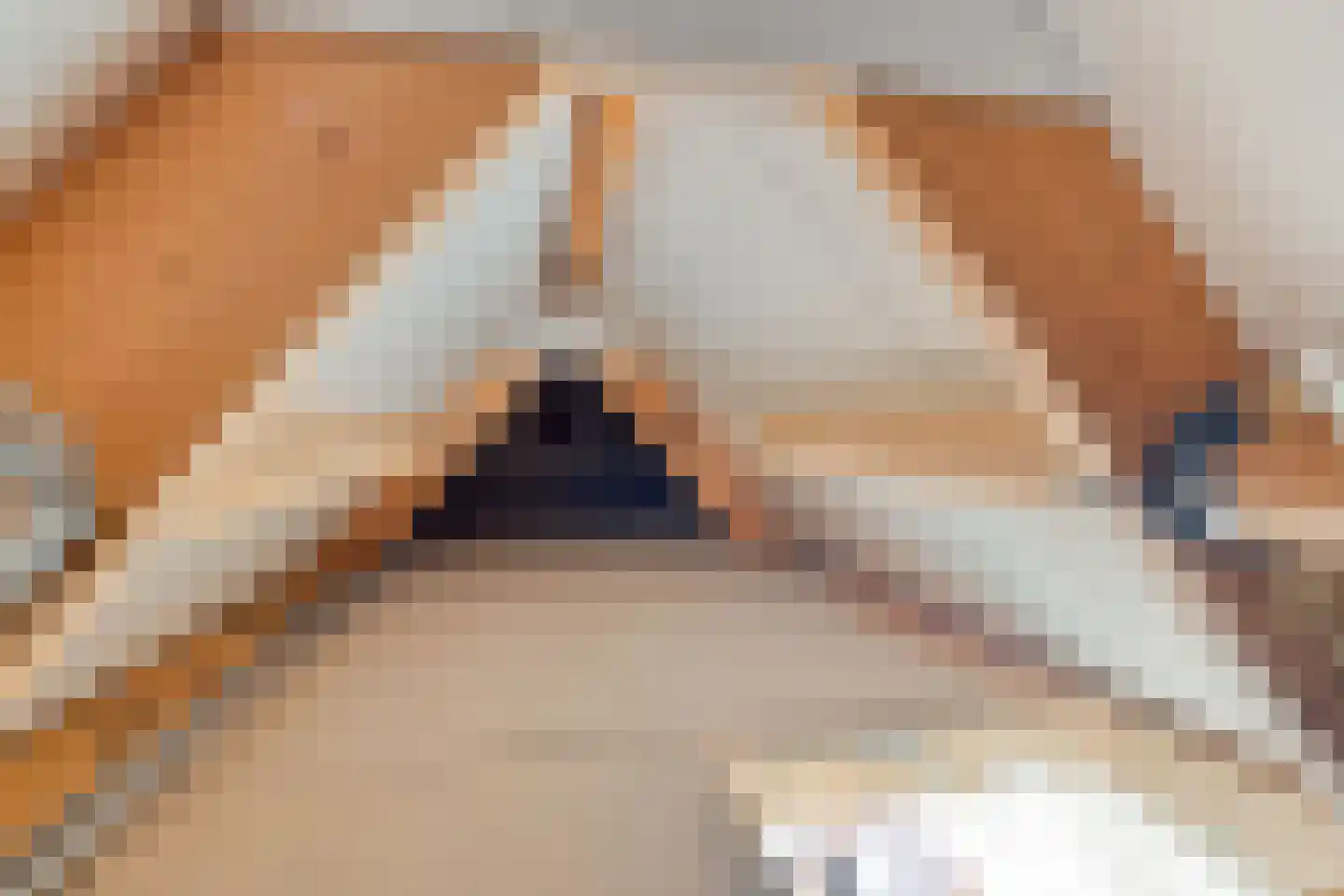 Postmaatseweg 15 Norg thumbnail 51