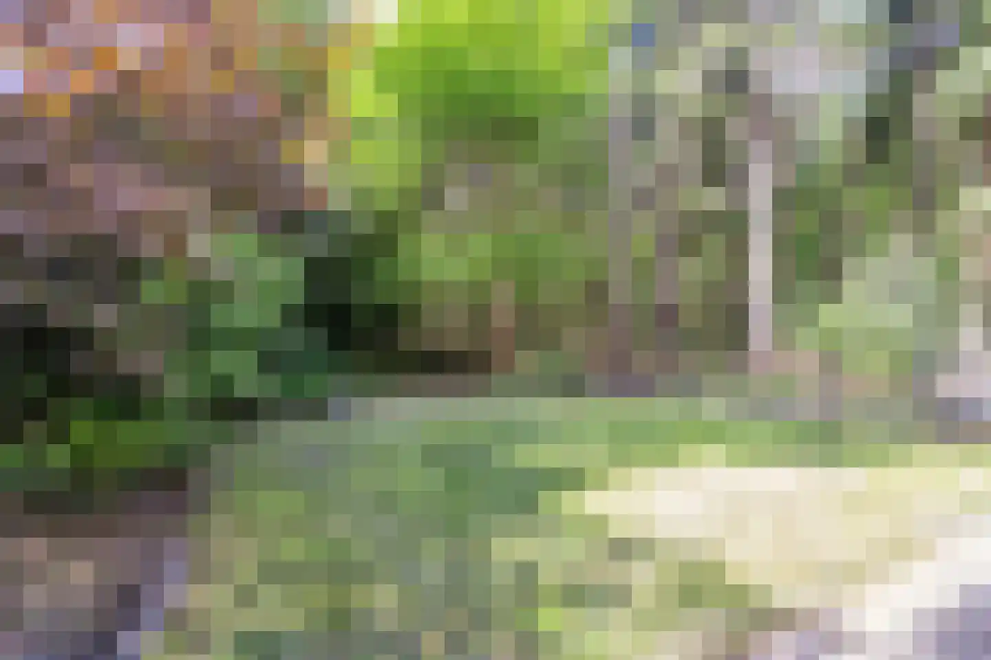 Postmaatseweg 15 Norg thumbnail 54