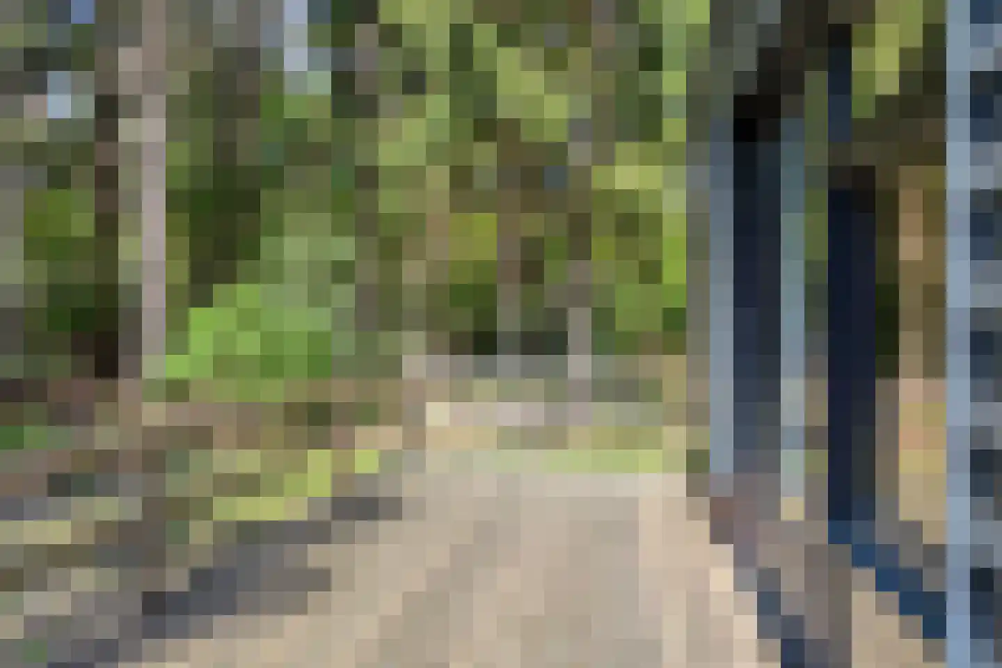Postmaatseweg 15 Norg thumbnail 56