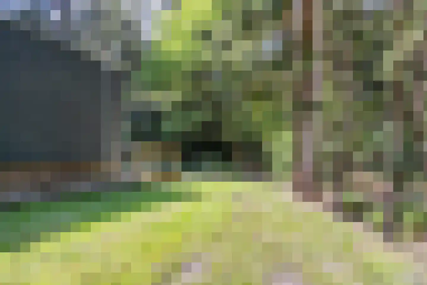 Postmaatseweg 15 Norg thumbnail 59