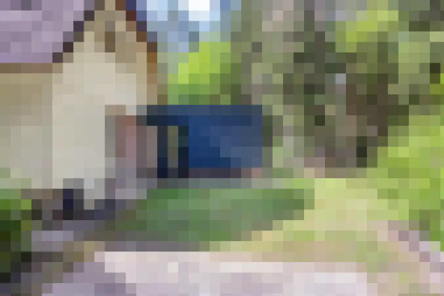 Postmaatseweg 15 Norg thumbnail 60