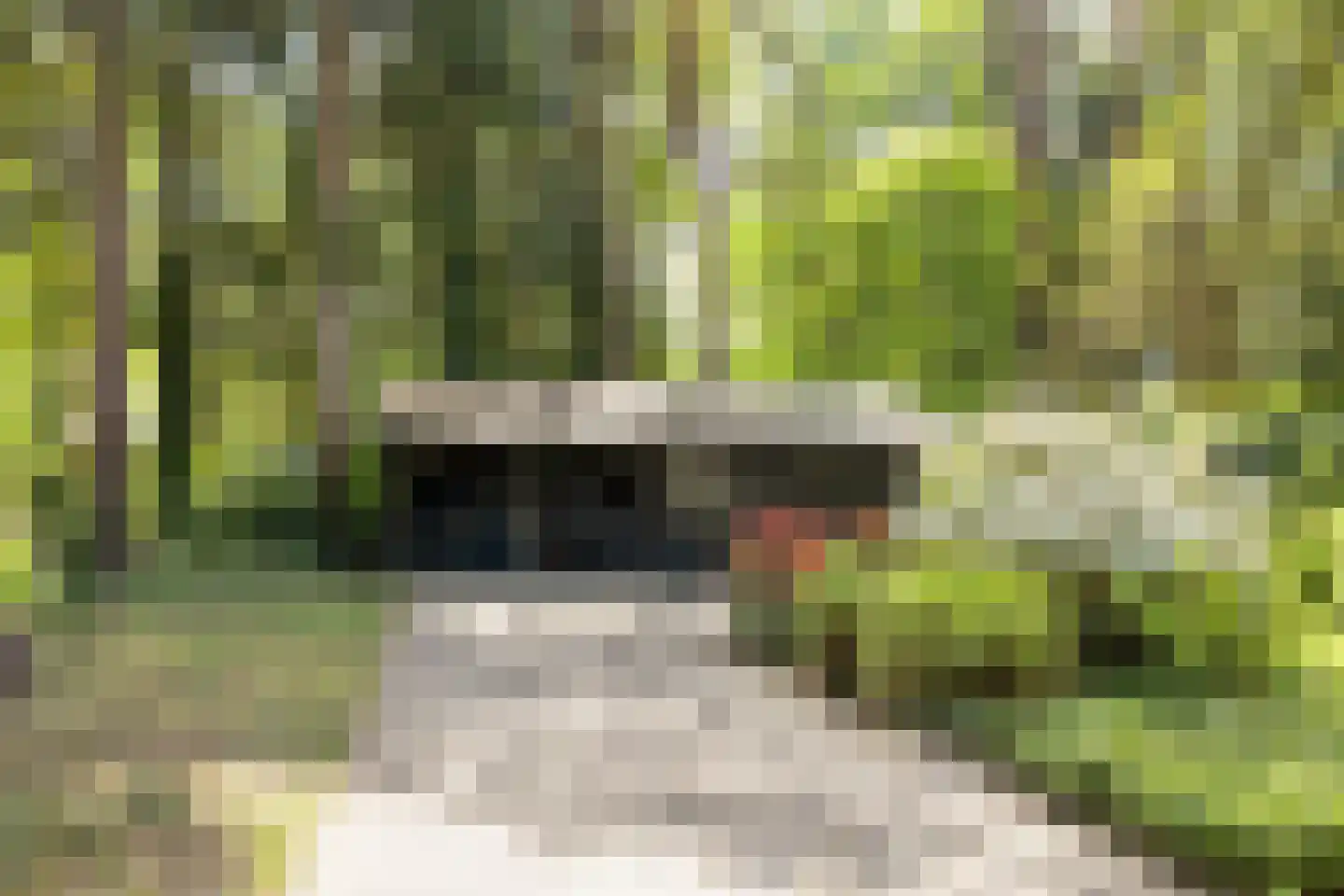 Postmaatseweg 15 Norg thumbnail 61