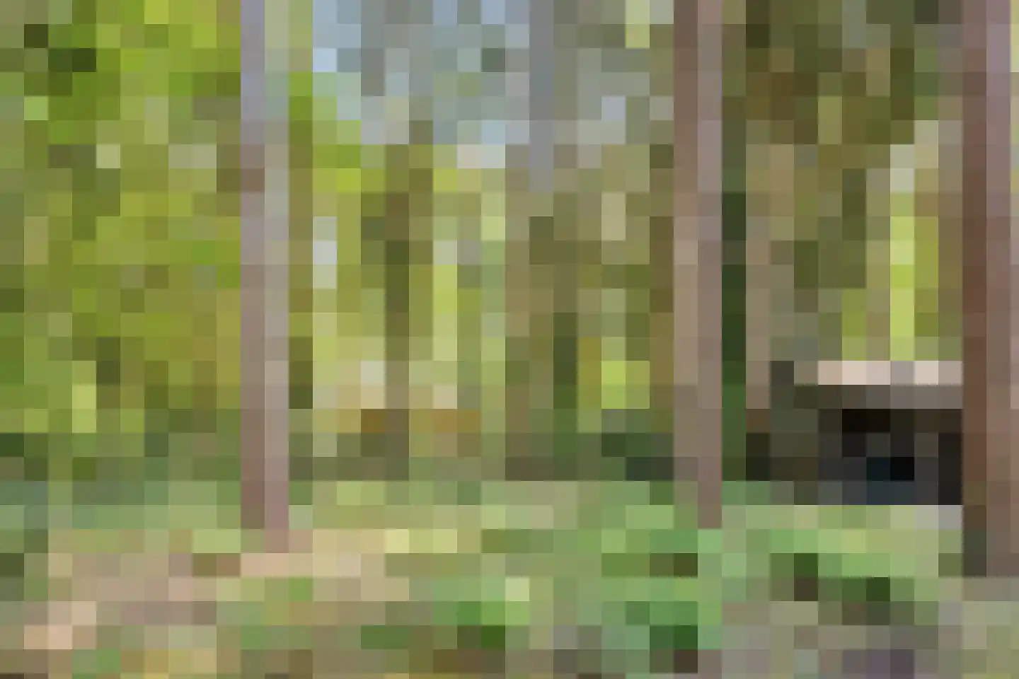 Postmaatseweg 15 Norg thumbnail 62
