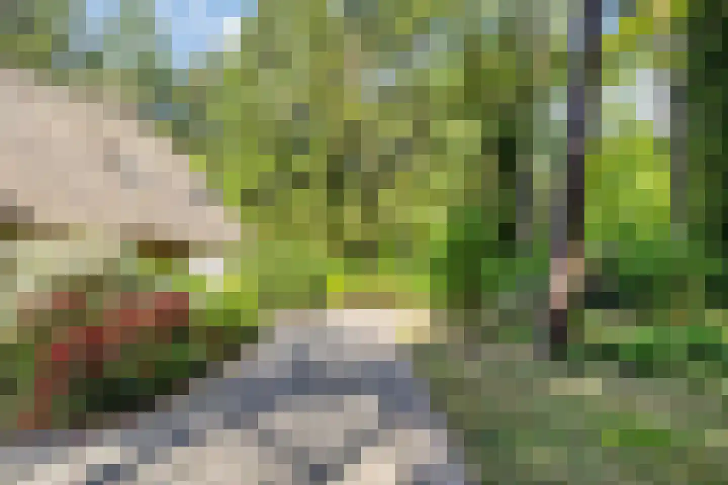 Postmaatseweg 15 Norg thumbnail 63