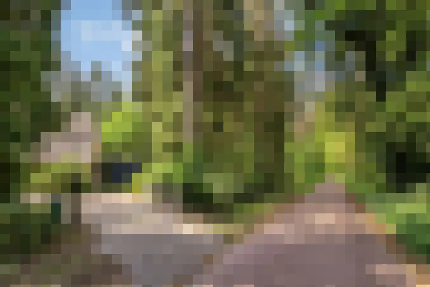 Postmaatseweg 15 Norg thumbnail 66