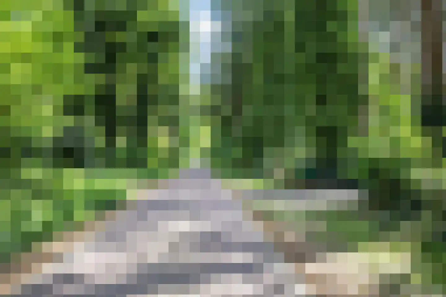 Postmaatseweg 15 Norg thumbnail 67