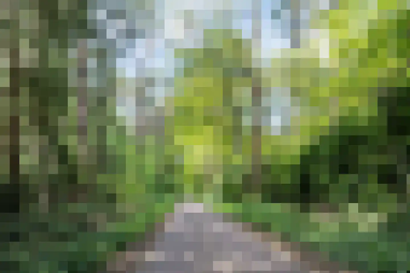 Postmaatseweg 15 Norg thumbnail 68