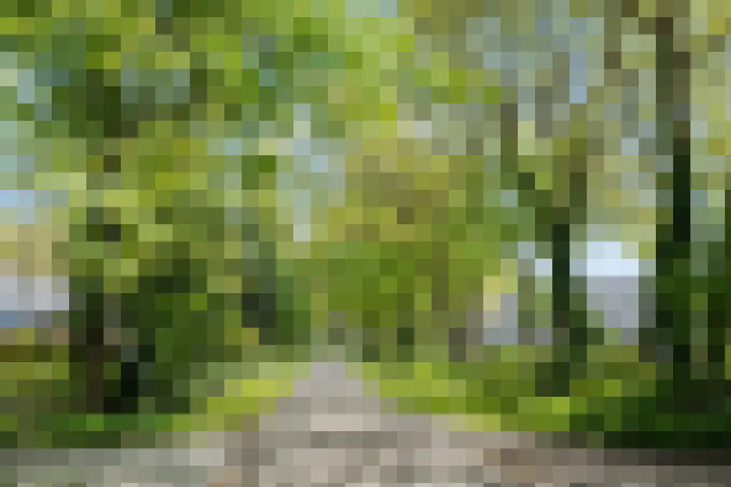 Postmaatseweg 15 Norg thumbnail 69