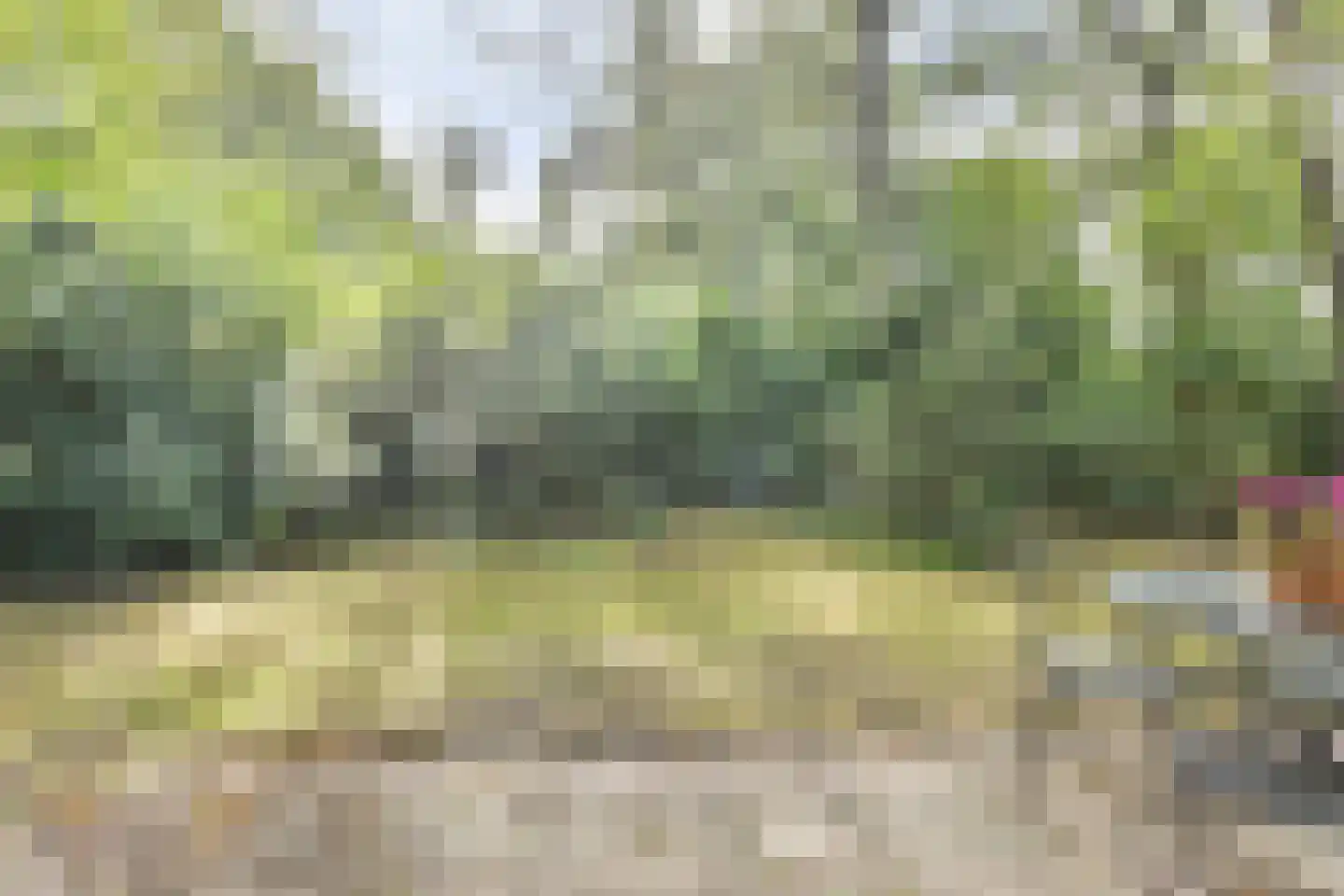 Postmaatseweg 9 Norg thumbnail 29