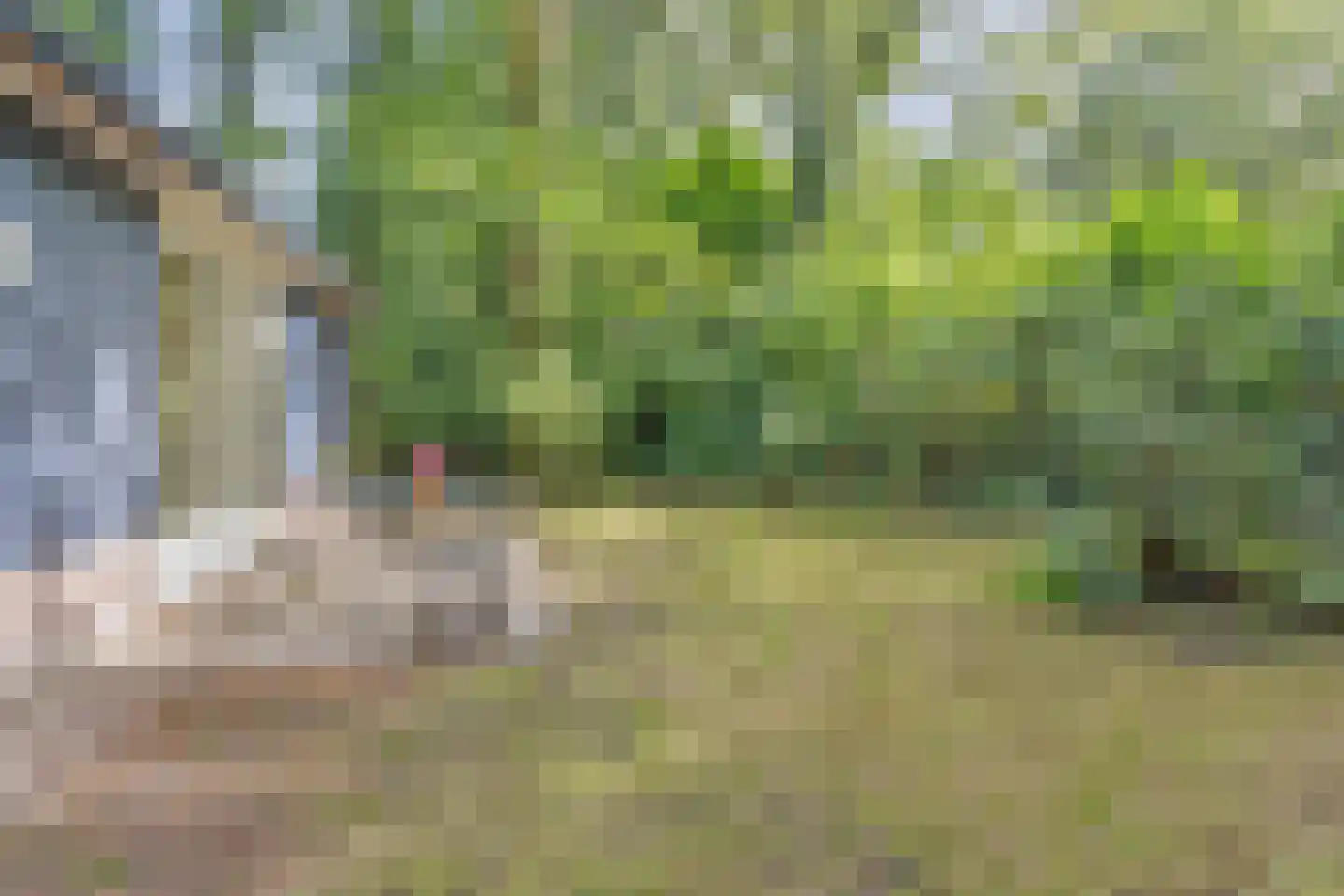 Postmaatseweg 9 Norg thumbnail 31