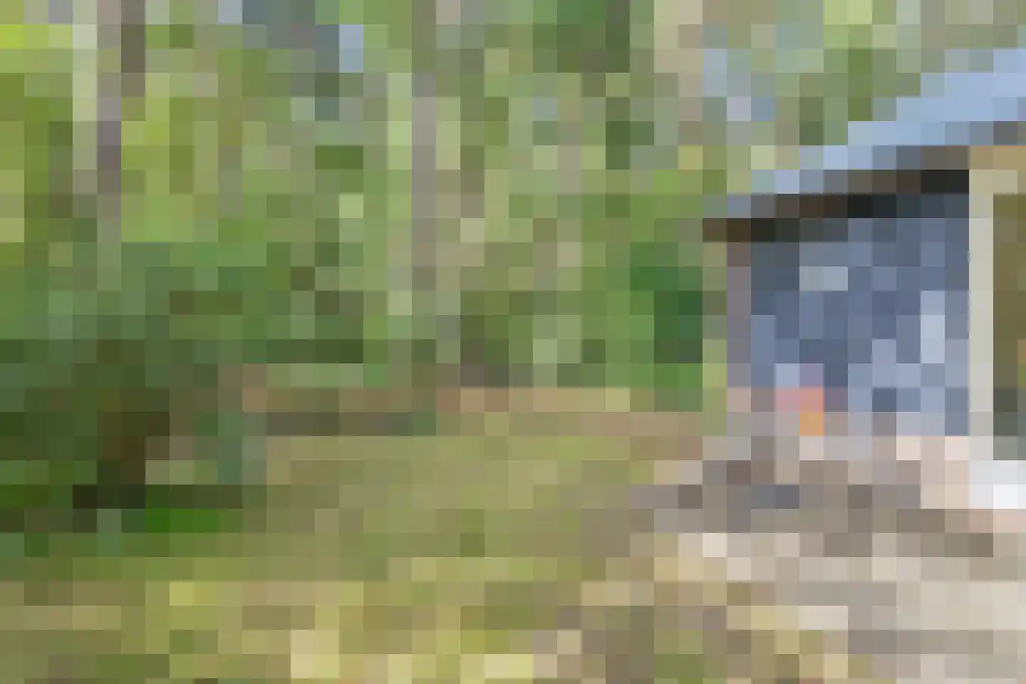 Postmaatseweg 9 Norg thumbnail 32