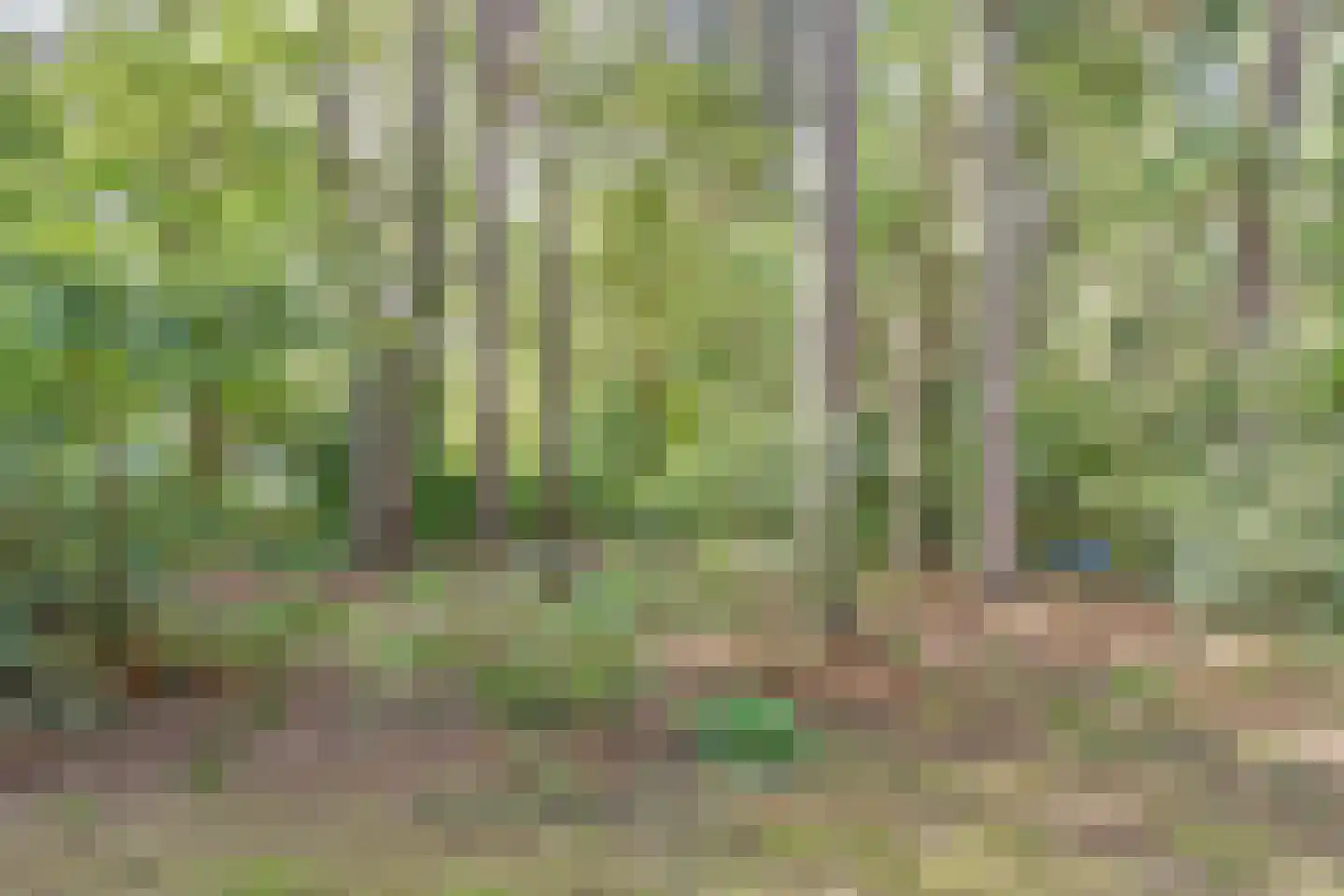 Postmaatseweg 9 Norg thumbnail 33