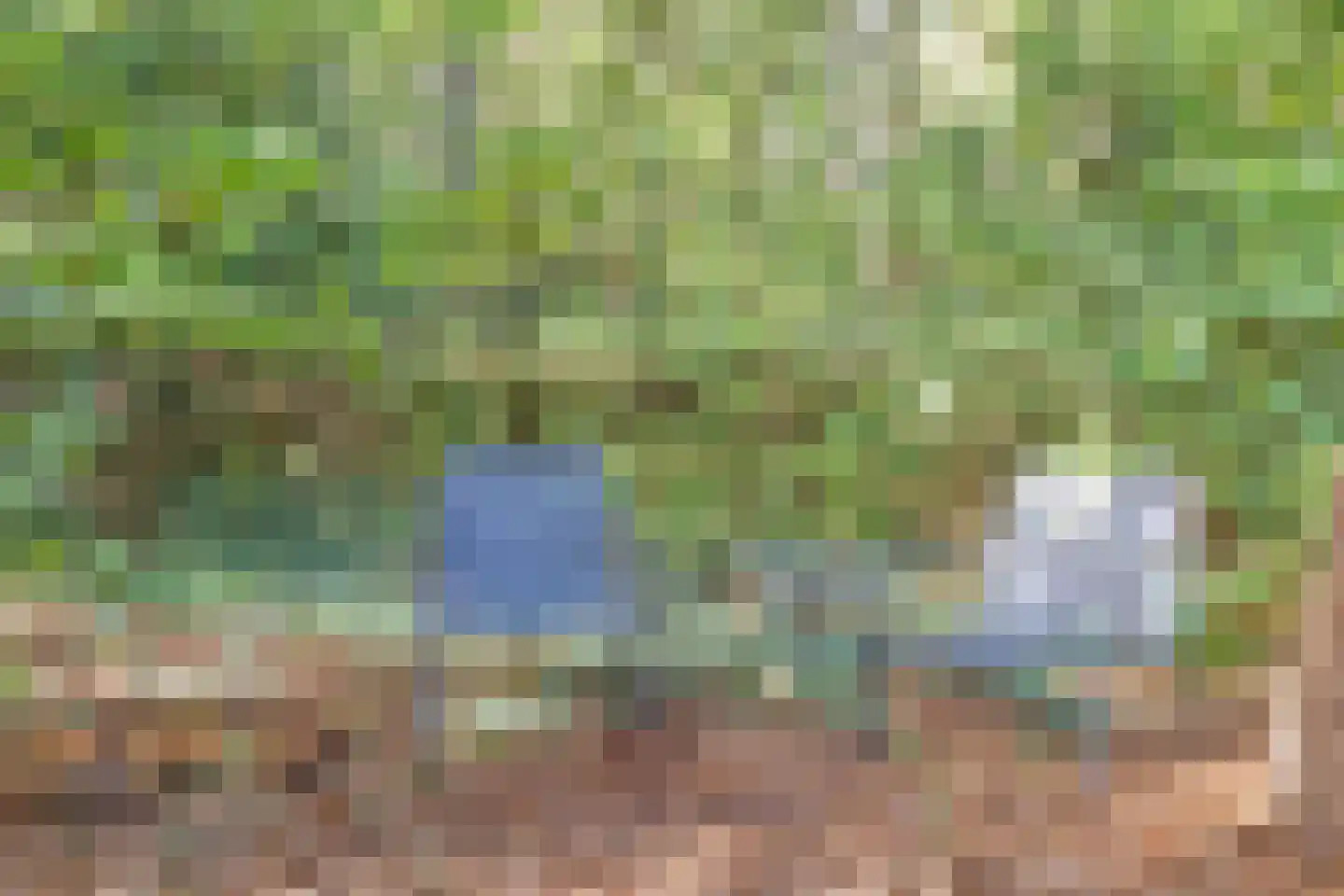 Postmaatseweg 9 Norg thumbnail 34