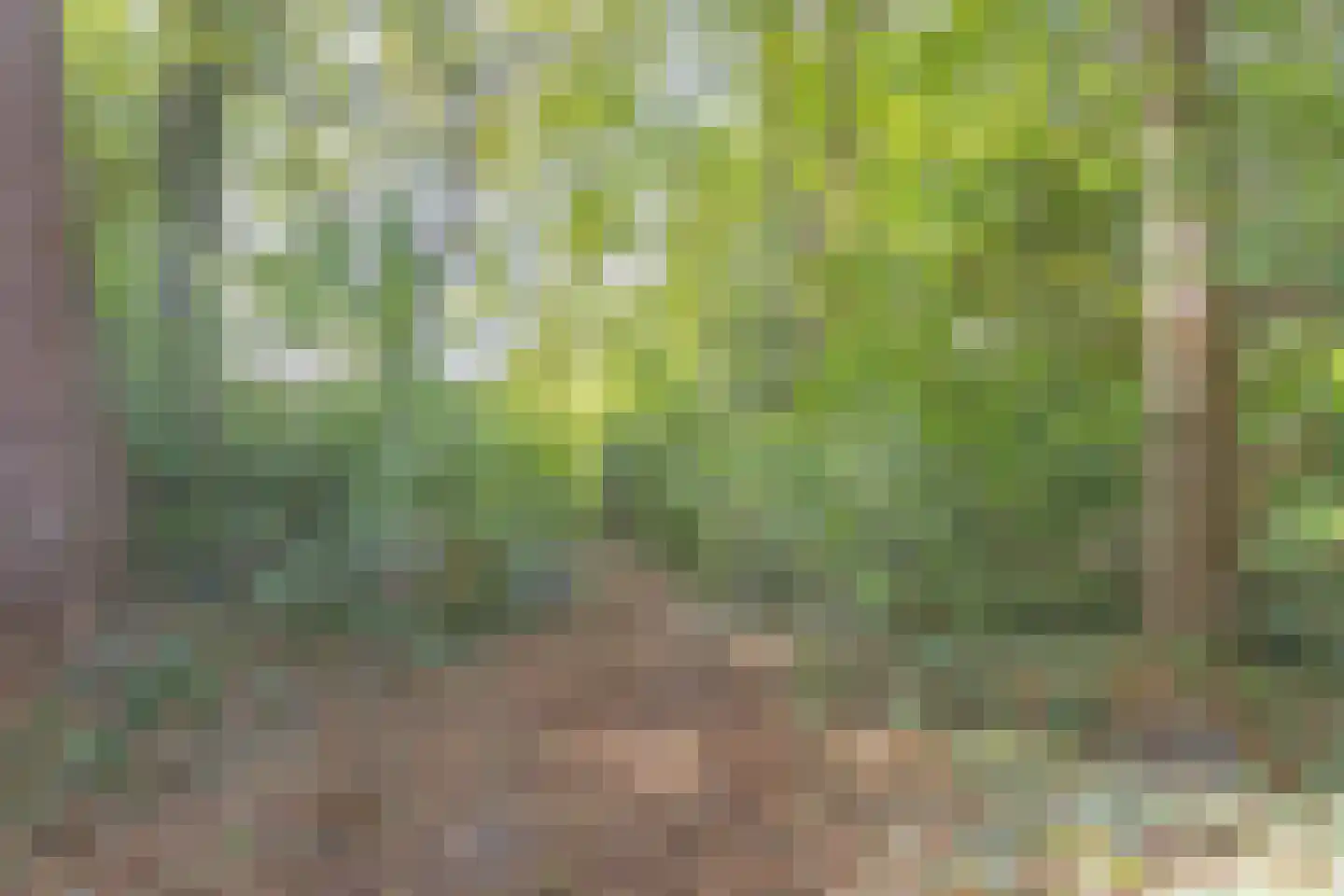 Postmaatseweg 9 Norg thumbnail 35