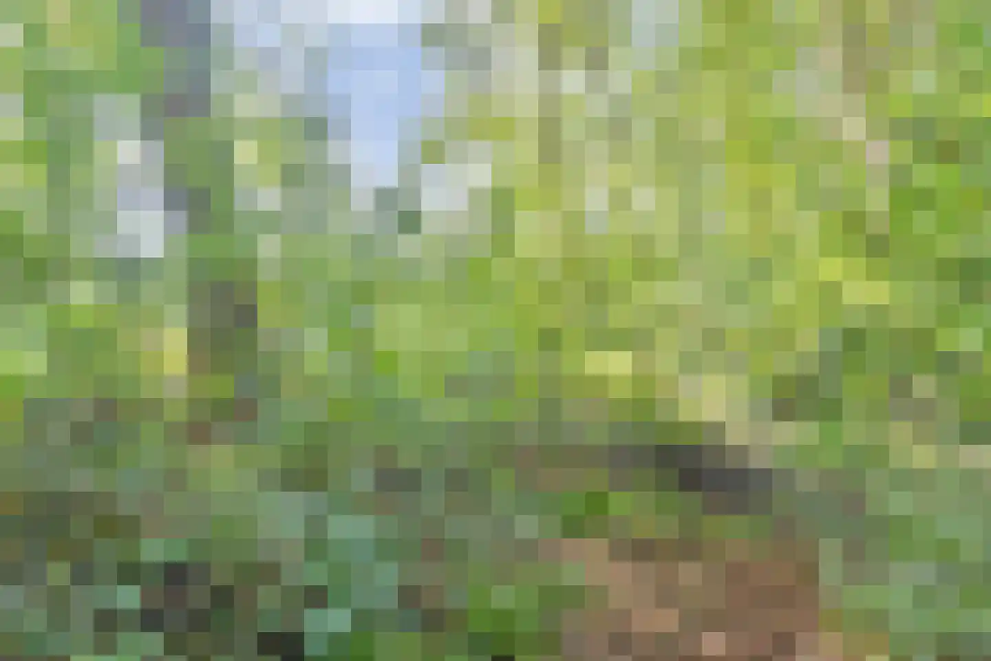 Postmaatseweg 9 Norg thumbnail 36