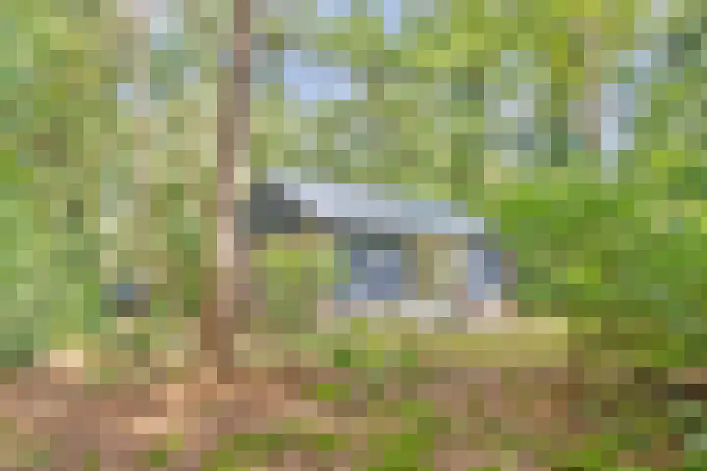 Postmaatseweg 9 Norg thumbnail 38