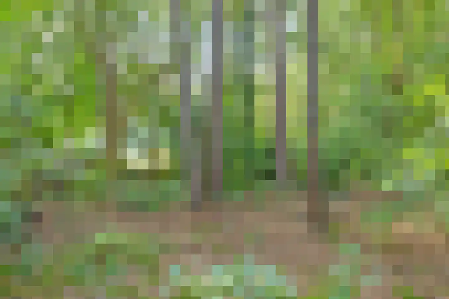 Postmaatseweg 9 Norg thumbnail 41