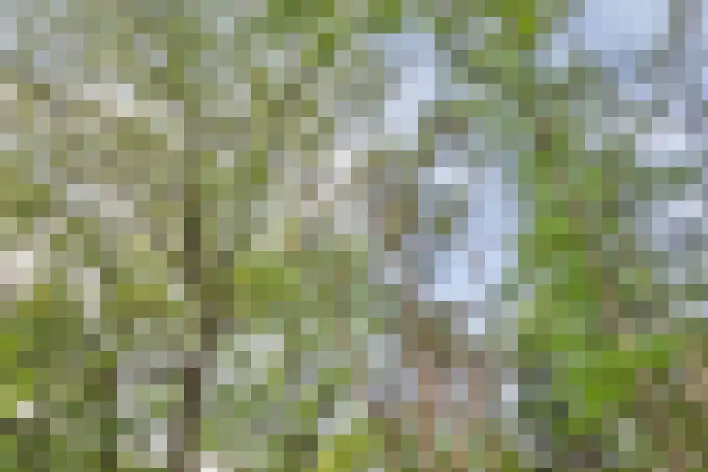 Postmaatseweg 9 Norg thumbnail 42
