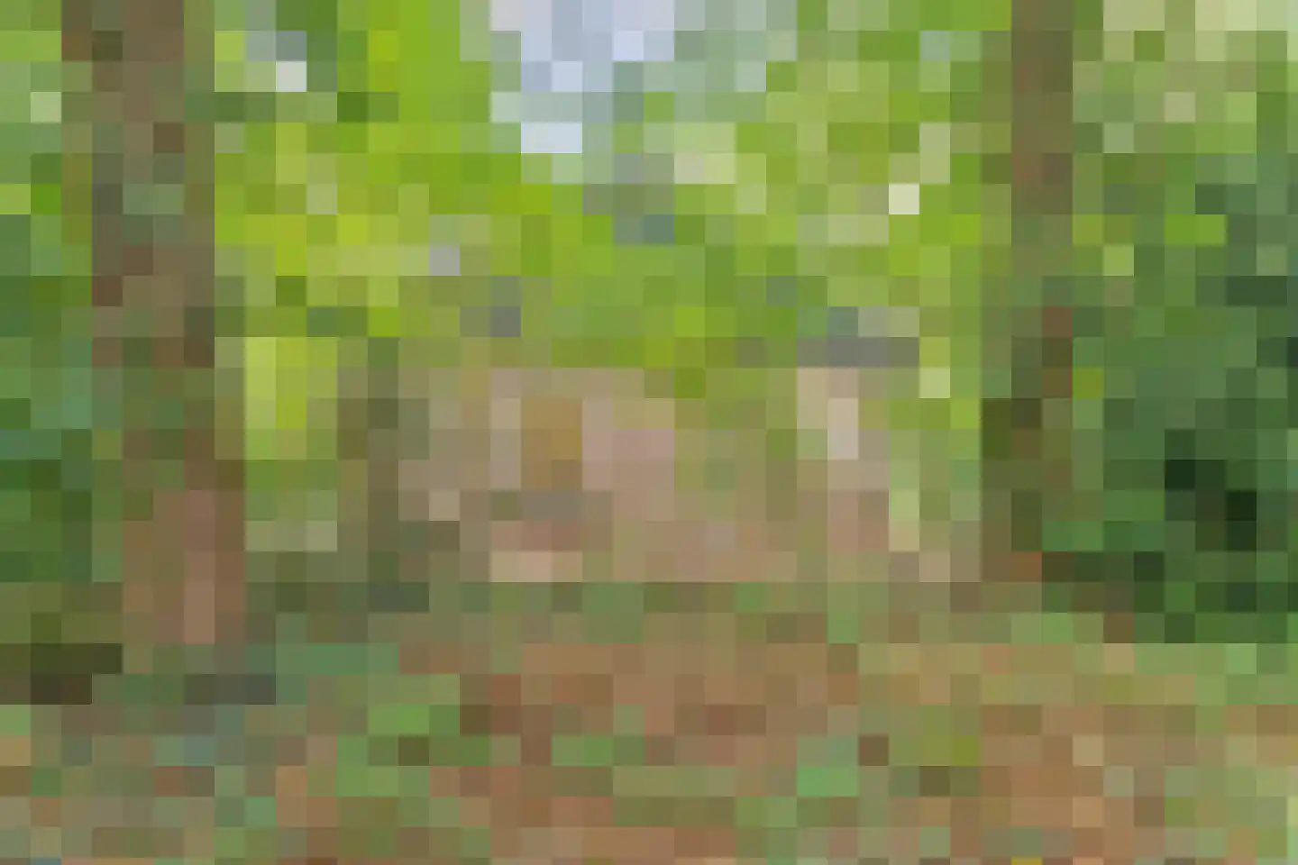 Postmaatseweg 9 Norg thumbnail 44