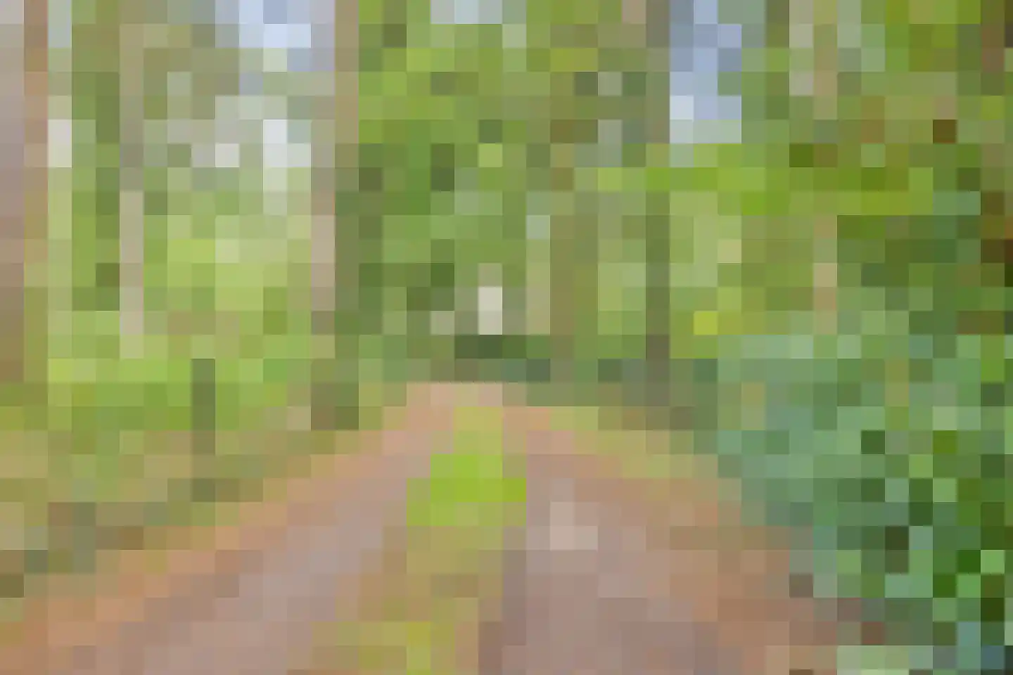 Postmaatseweg 9 Norg thumbnail 47