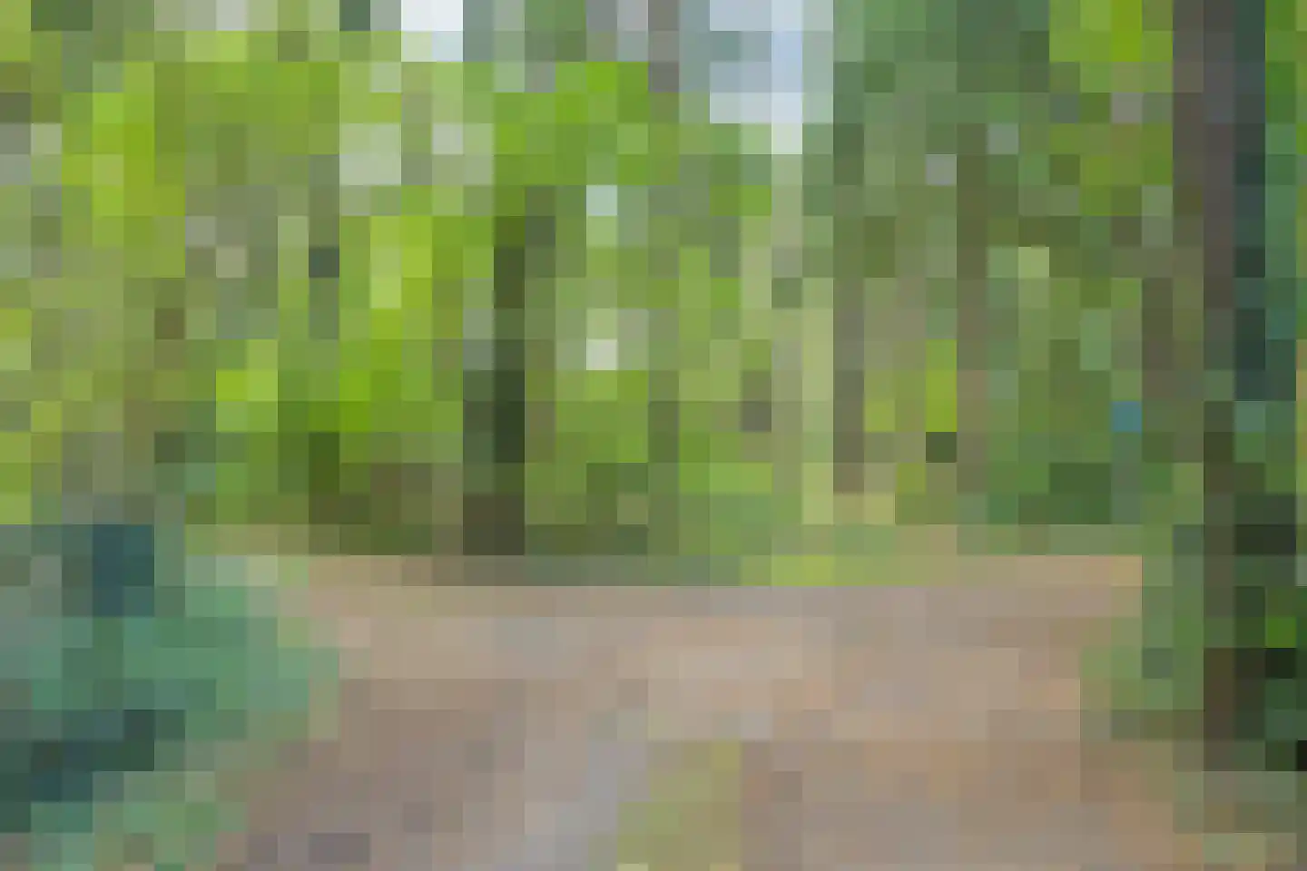 Postmaatseweg 9 Norg thumbnail 48