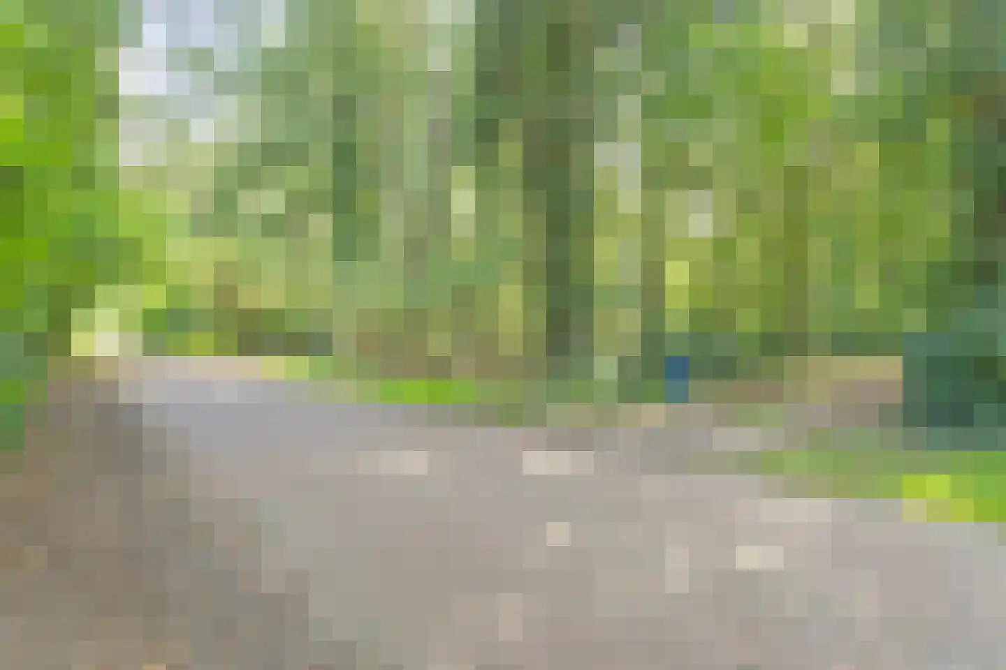 Postmaatseweg 9 Norg thumbnail 49