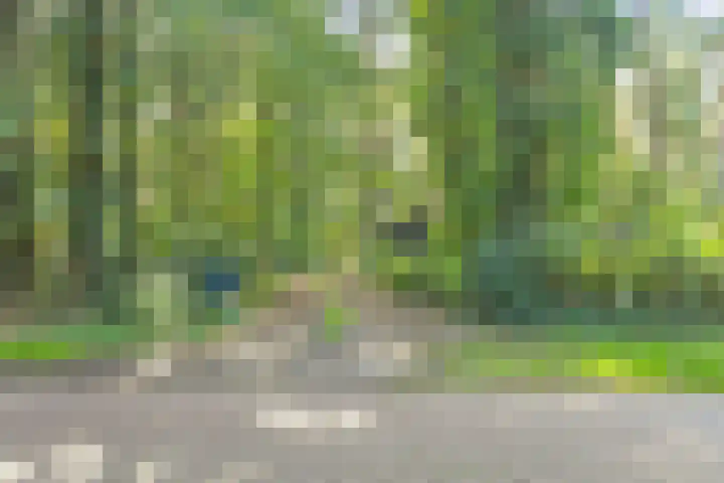Postmaatseweg 9 Norg thumbnail 50