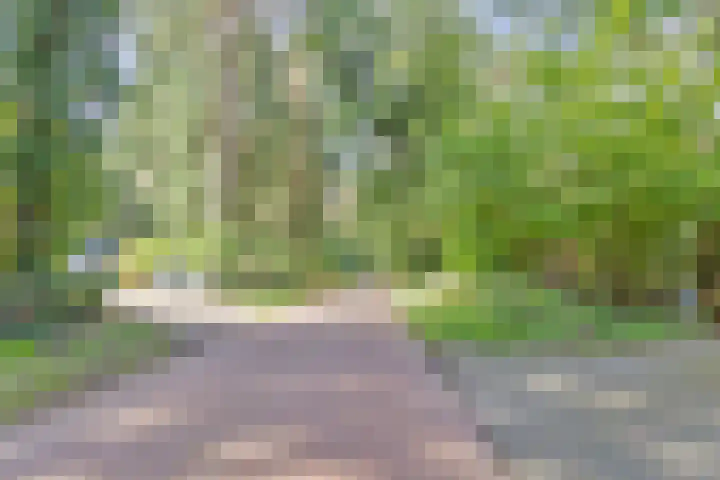 Postmaatseweg 9 Norg thumbnail 51