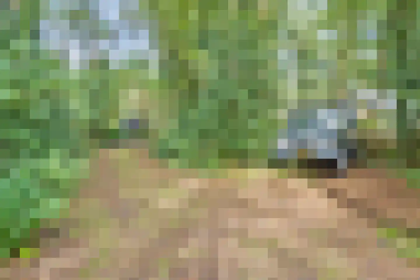 Postmaatseweg 9 Norg thumbnail 6