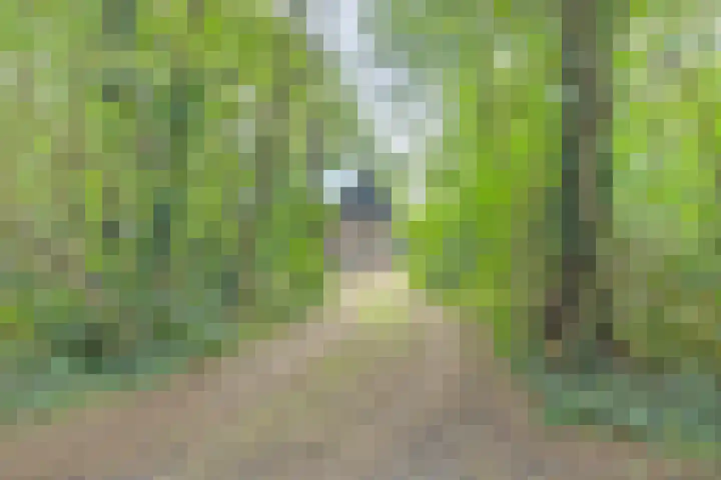 Postmaatseweg 9 Norg thumbnail 7