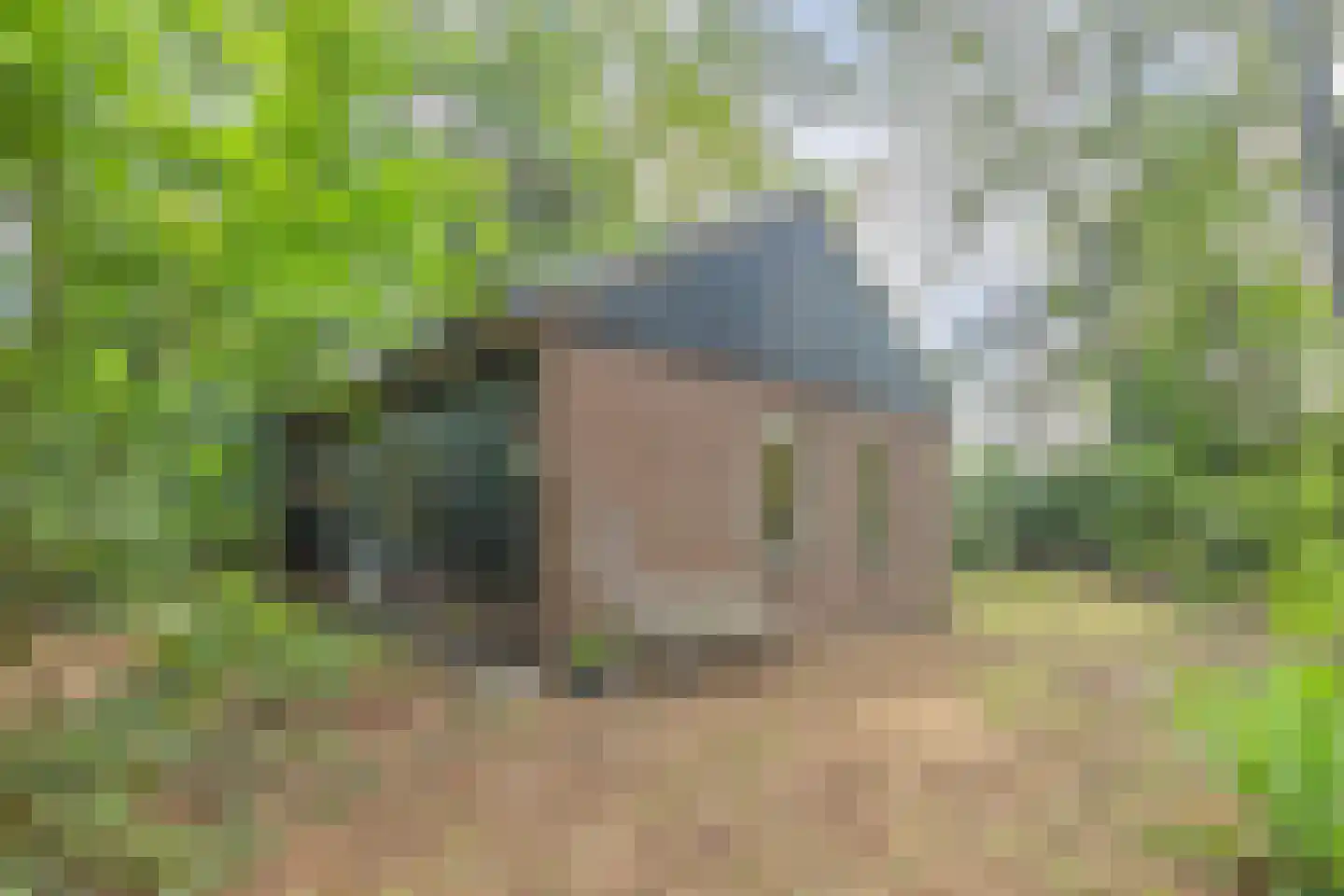 Postmaatseweg 9 Norg thumbnail 8