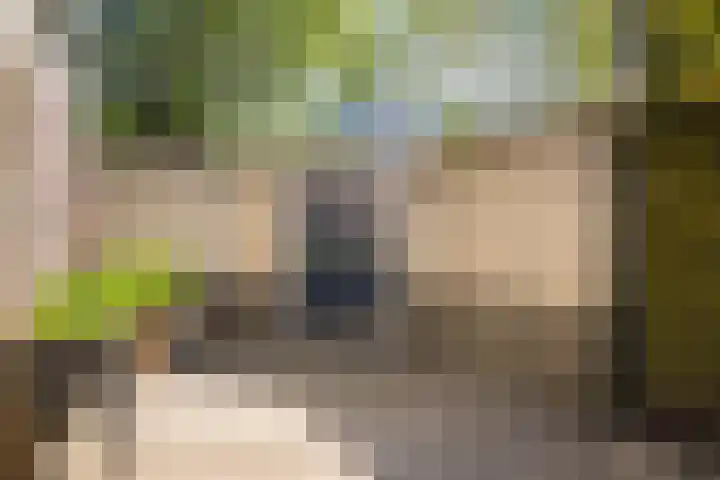 Postmastraat 11 Culemborg thumbnail 32