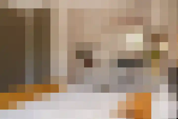 Postmastraat 11 Culemborg thumbnail 37
