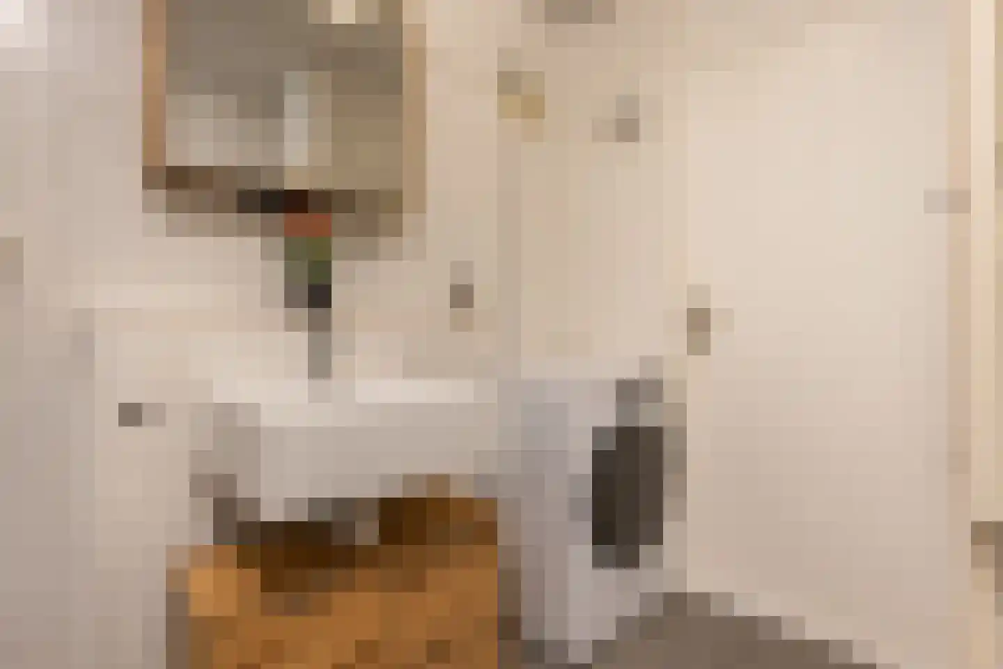 Postmeestersdreef 403 Apeldoorn thumbnail 25