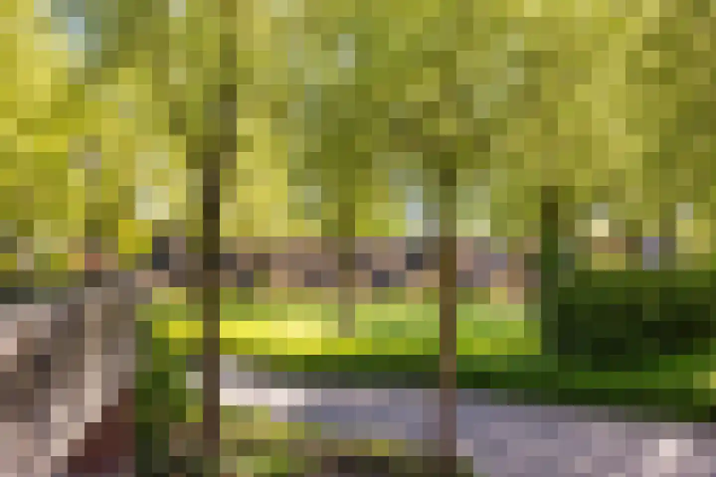 Postmeestersdreef 403 Apeldoorn thumbnail 37
