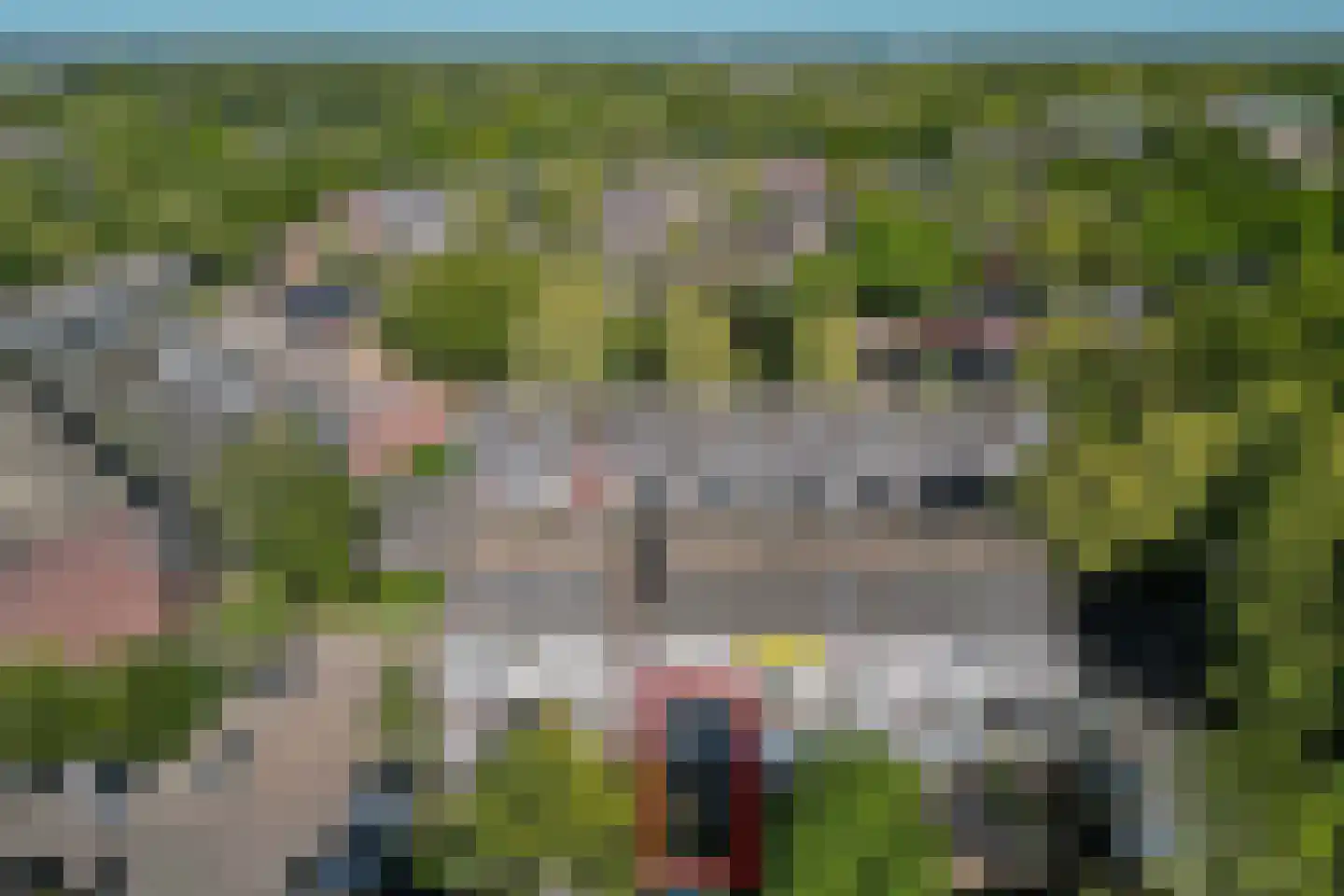 Postmeestersdreef 403 Apeldoorn thumbnail 38