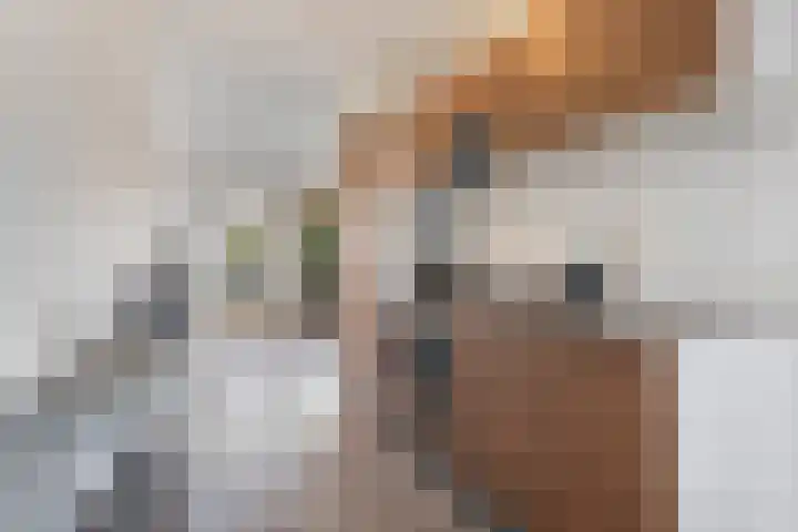 Postmeestersdreef 412 Apeldoorn thumbnail 12